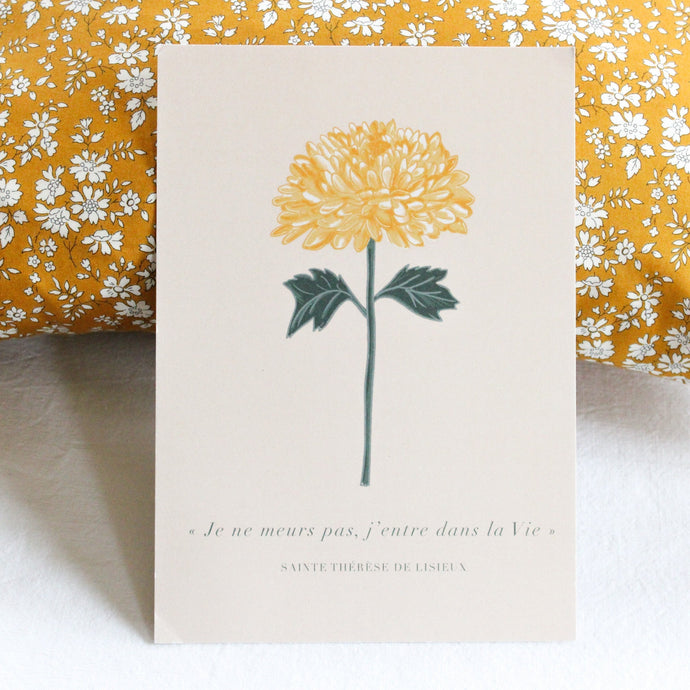 Le Chrysanthème à la Toussaint