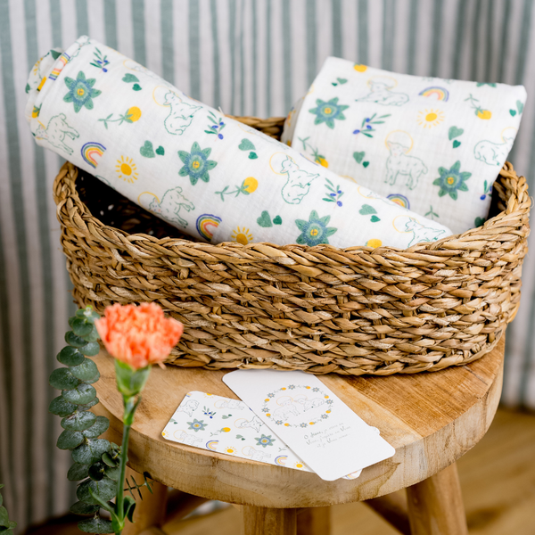 Coffret naissance - duo langes