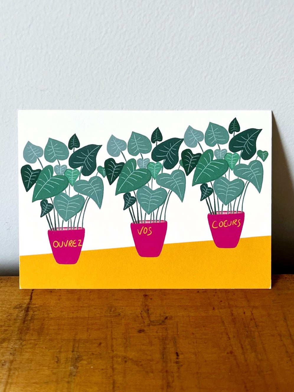 Carte Caladium