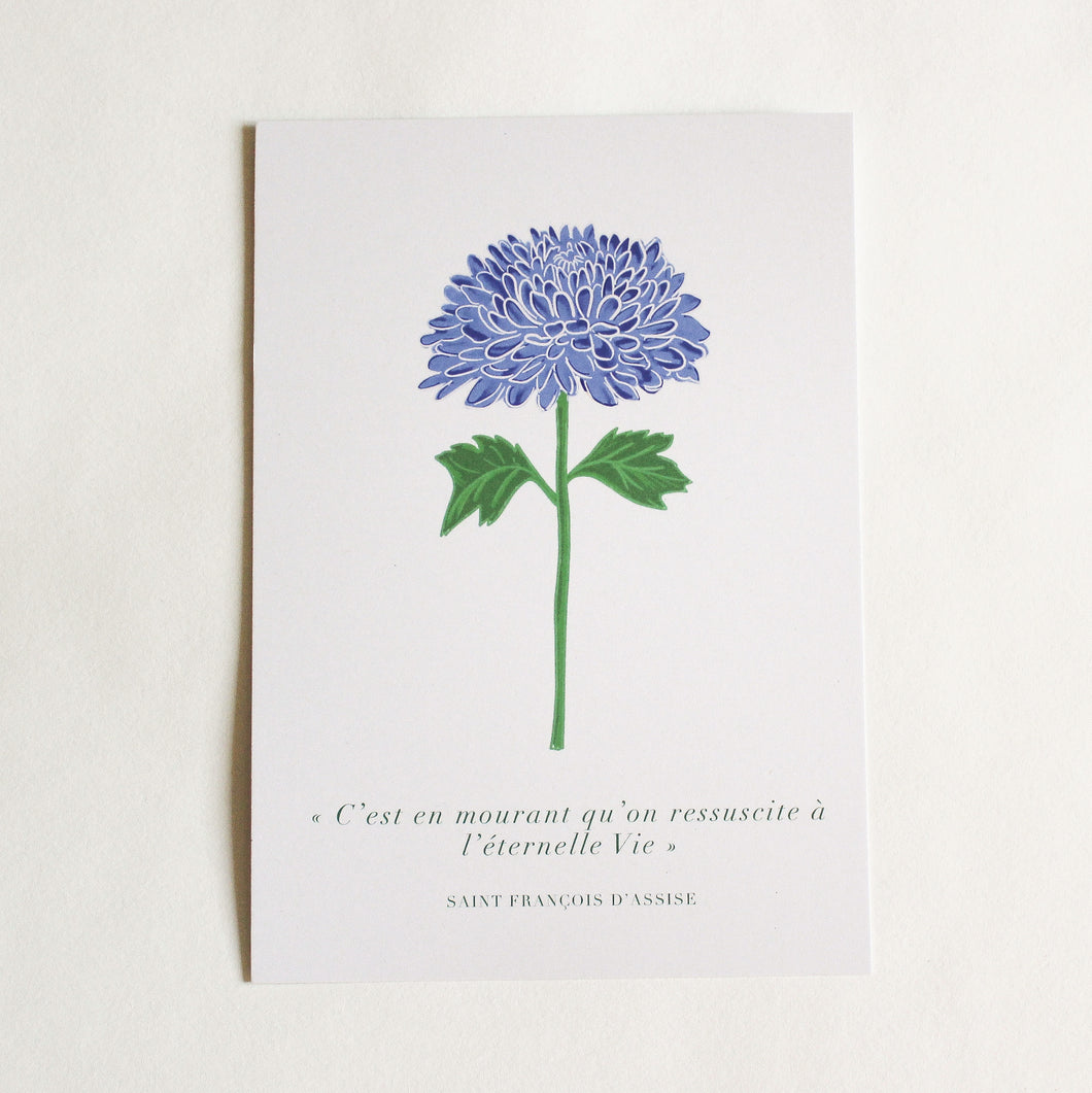 Petite affiche Toussaint Chrysanthème bleu
