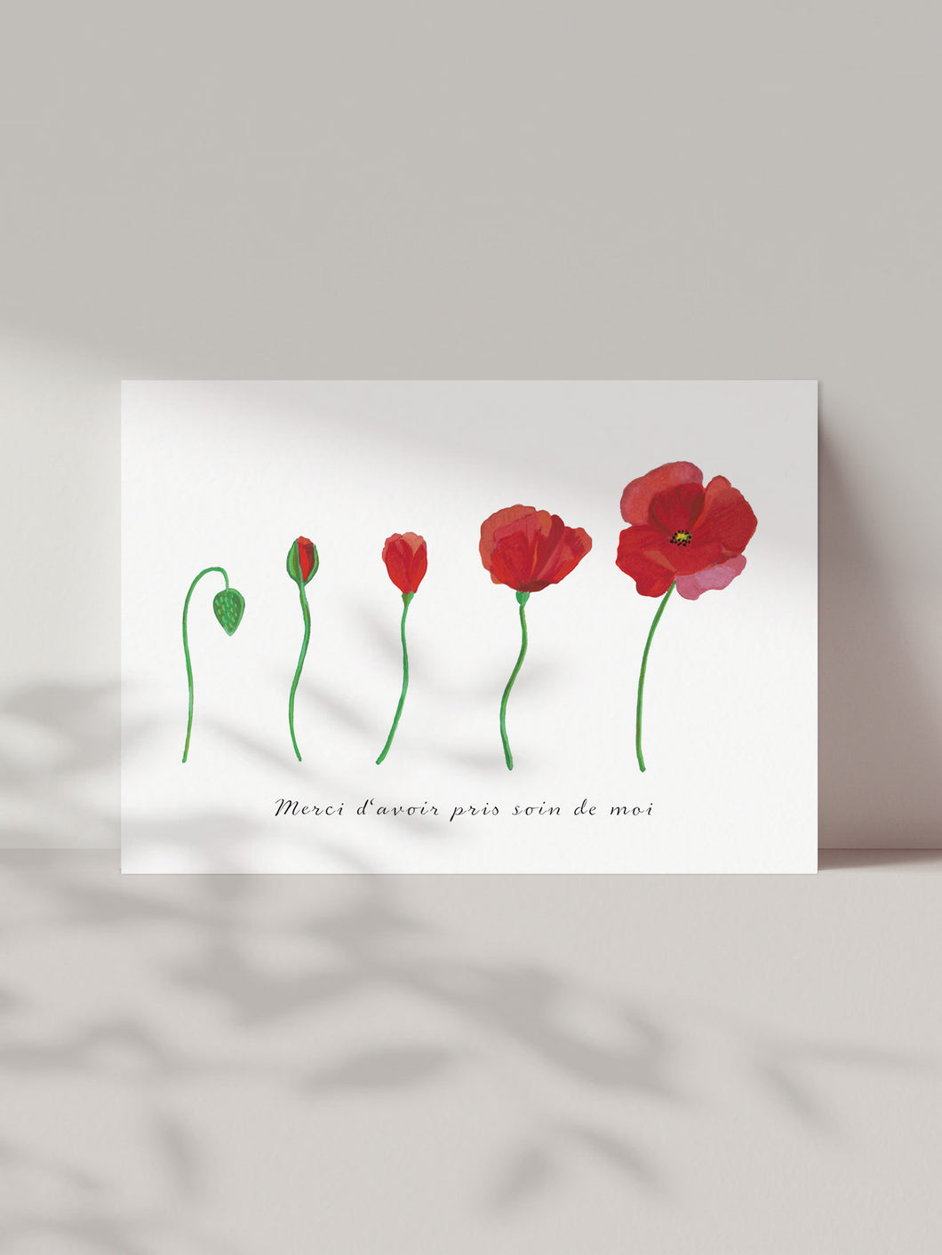 Carte Merci