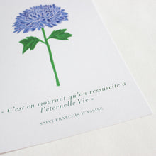 Charger l&#39;image dans la galerie, Petite affiche Toussaint Chrysanthème bleu
